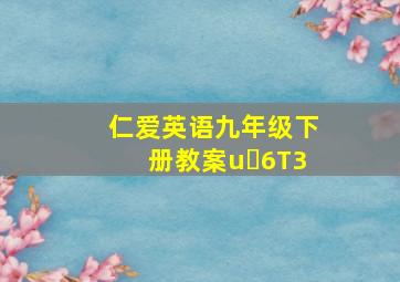 仁爱英语九年级下册教案u 6T3